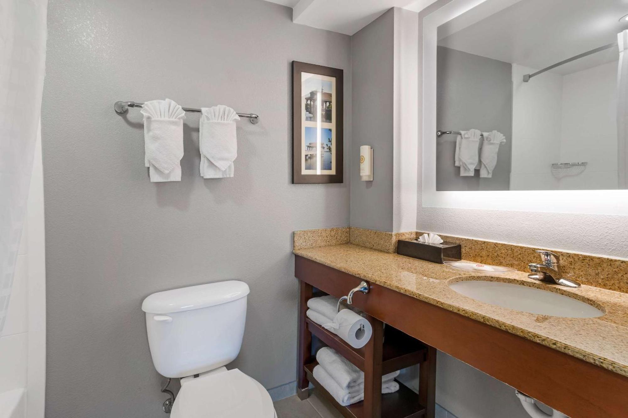 Comfort Suites Near Birkdale Village- Huntersville Eksteriør billede
